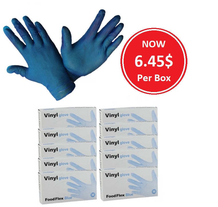 Food Grade Powder-Free Blue Vinyl Gloves - Carton of 1000 PCS